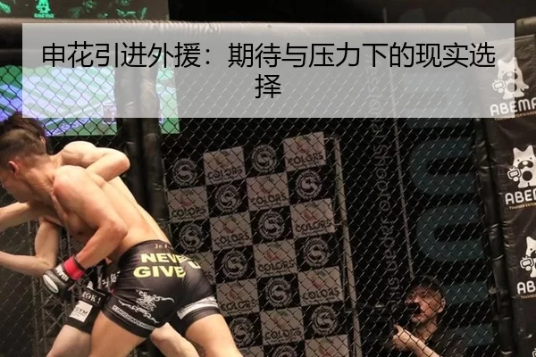 申花引进外援：期待与压力下的现实选择